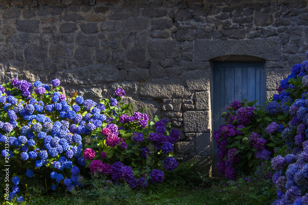 Fototapeta premium In der Bretagne