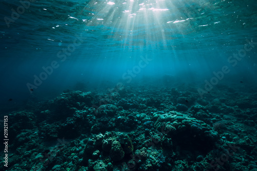 Tranquil underwater scene with copy space. Tropical sea