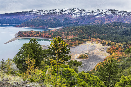 A view during Autumn Season of the incredible rainforests full of colors over the trees above the mountain lakes at Conguillio National Park an amazing colorful landscape, Chile