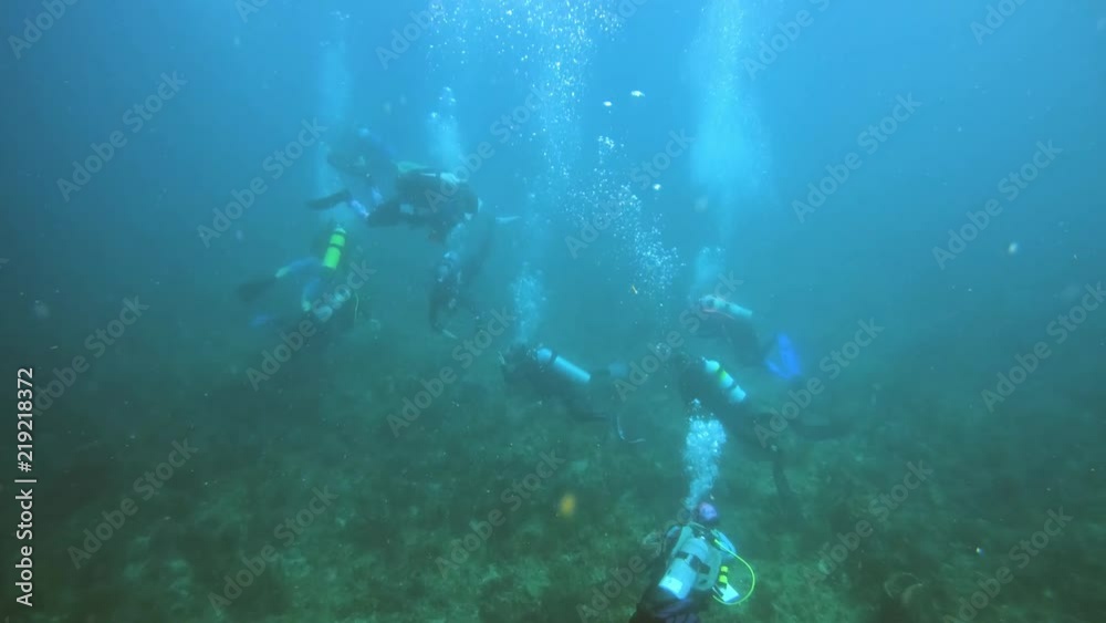 A group of diving students during their first open water dive. A group of diving students during their first open water dive.