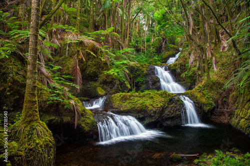 Onomea Falls in Hawaii