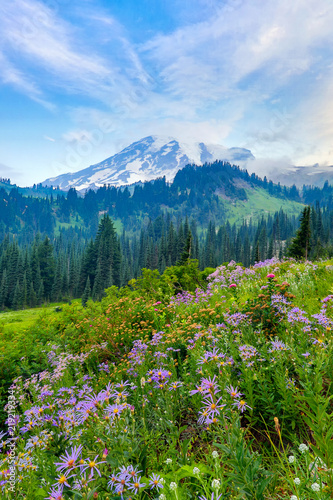 Mt Rainier and wildflowers © paulacobleigh