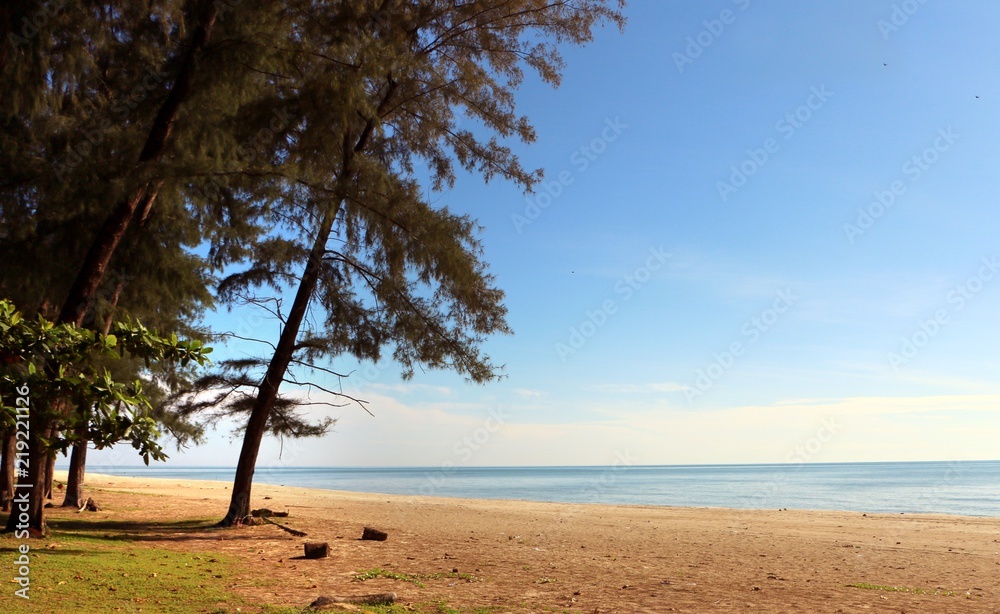 Beautiful beach scenery with blue sky, yellow sand and trees Beautiful beach scenery with blue sky, yellow sand and trees
