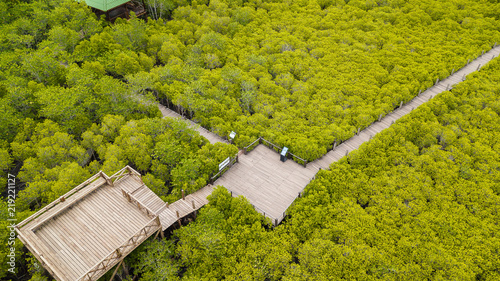 Εκτύπωση καμβά Mangroves inTung Prong Thong or Golden Mangrove Field at Estuary Pra Sae, Rayong