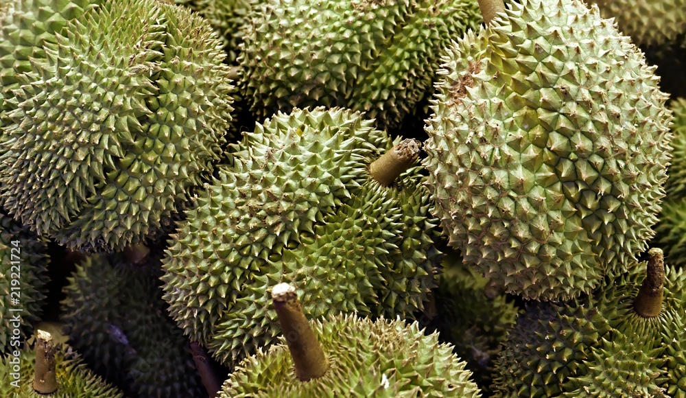 Durian fruits in close up Durian fruits in close up