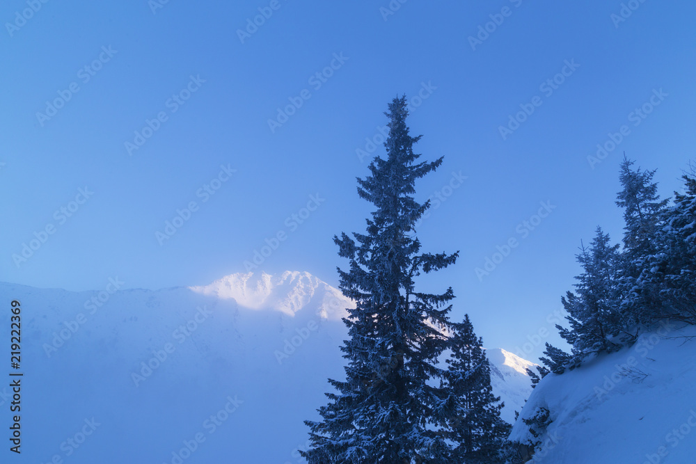 Winter alpine scenery with fresh snow, mist, and beautiful evening light