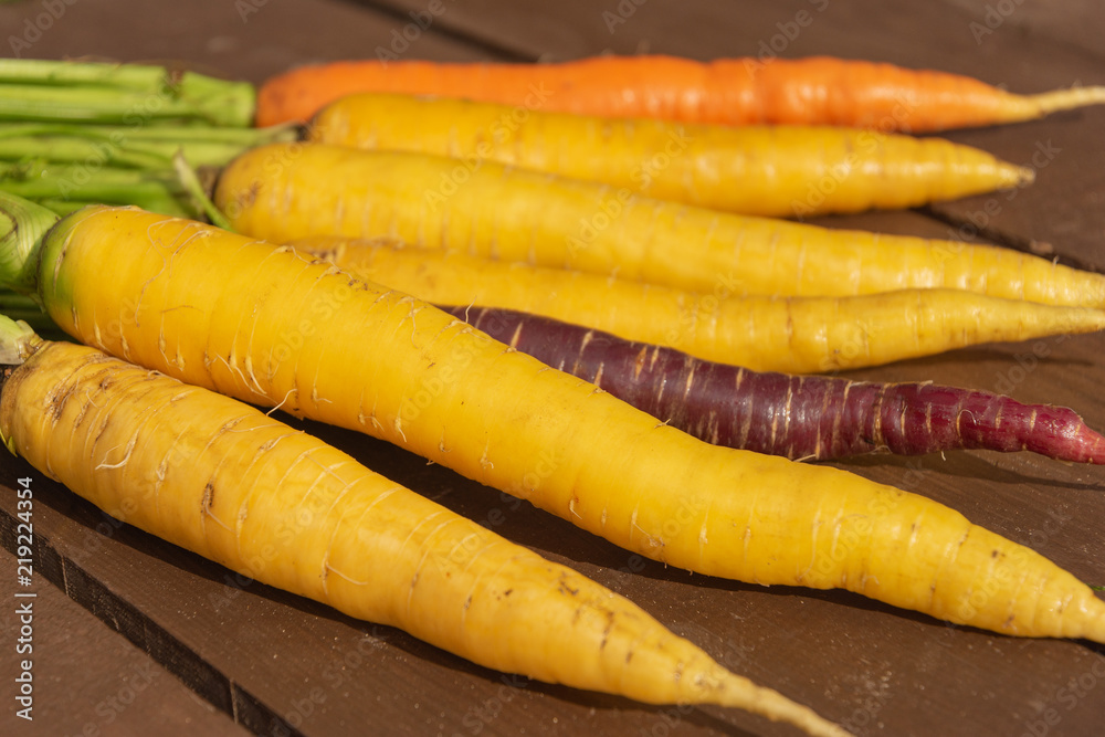 A bunch of clean fresh carrots on a wooden background. one orange and one violet carrot among yellow A bunch of clean fresh carrots on a wooden background. one orange and one violet carrot among yellow