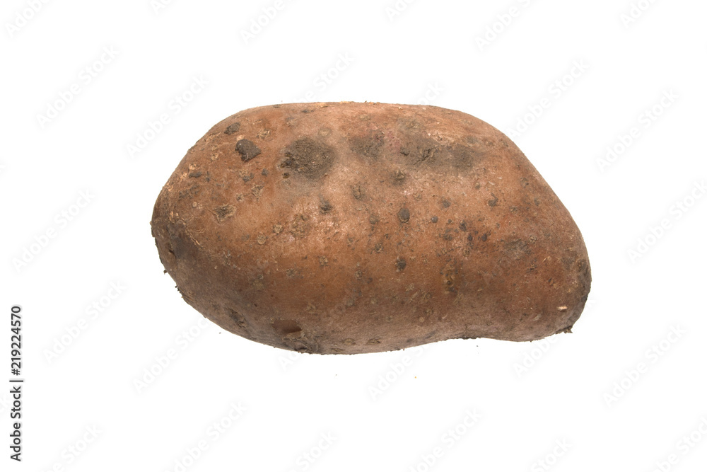 potato isolated on white background potato isolated on white background