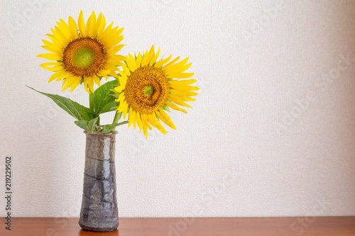 花瓶に飾られたひまわりの花 Stock Photo Adobe Stock