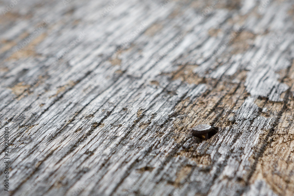 Close up Nails in the old plank Close up Nails in the old plank