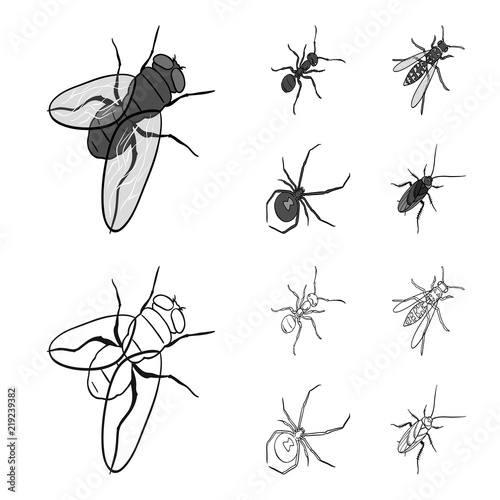 An insect arthropod, an osa, a spider, a cockroach. Insects set collection icons in outline,monochrome style vector symbol stock isometric illustration web.
