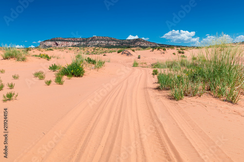 Fototapeta Naklejka Na Ścianę i Meble -  Road in the sand dunes of the desert, Coral Pink Sand Dunes State Park, Kanab, Utah.