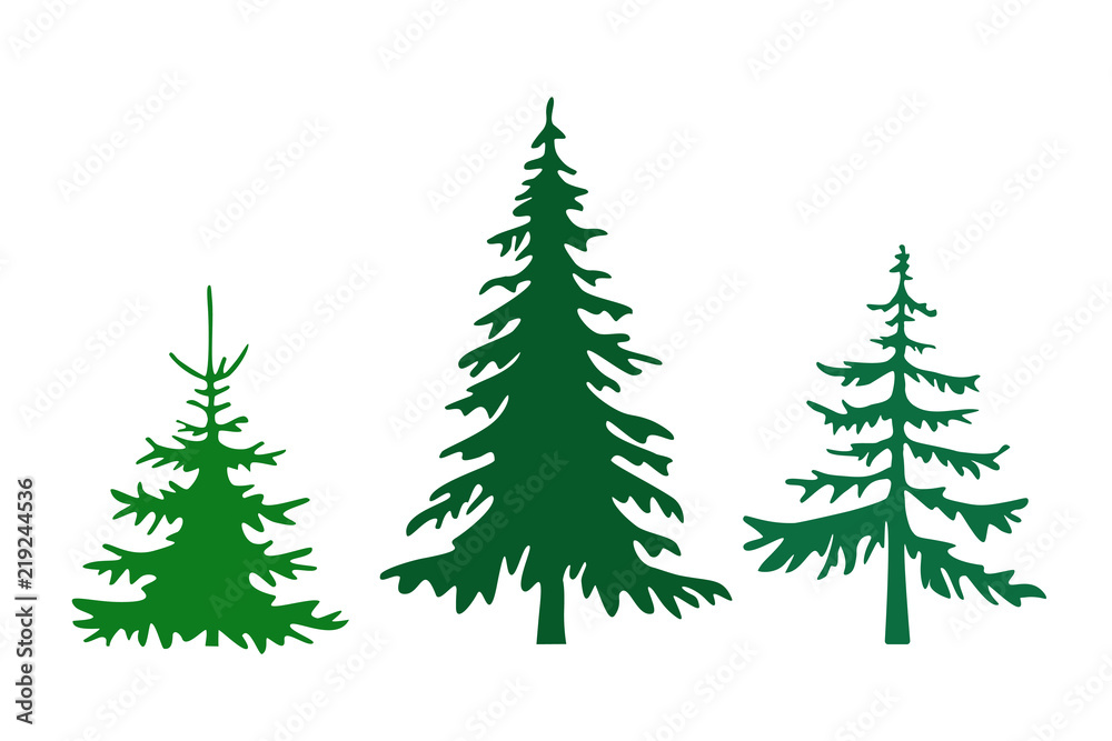 Pine tree silhouettes vector illustration. Set of different fir trees