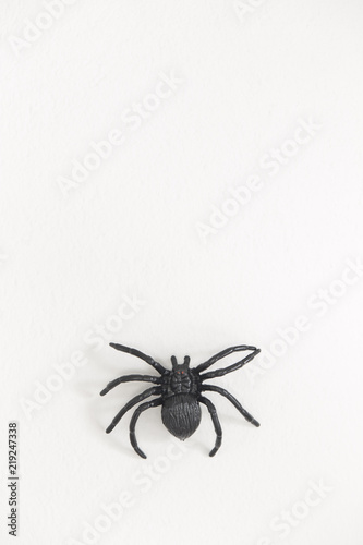Scary plastic spider for halloween