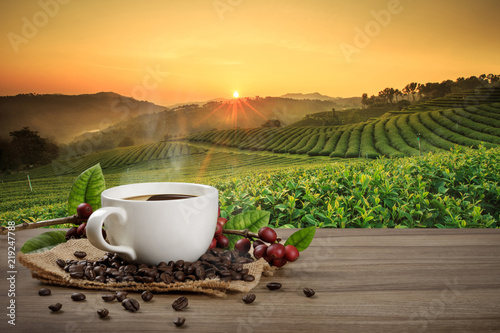 Fotografia Hot coffee cup with fresh organic red coffee beans and coffee roasts on the wooden table and the black background with copyspace for your text