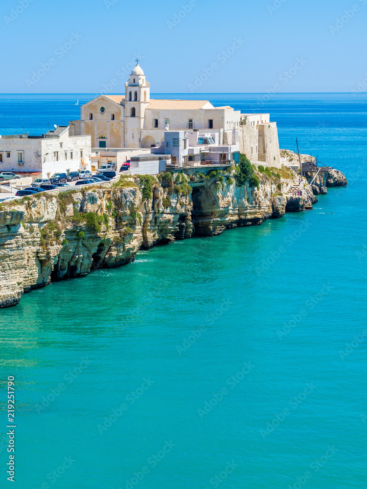 The coast and the houses of Vieste, Gargano, Puglia