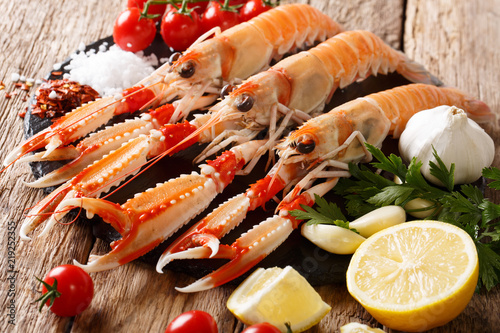 Raw fresh Nephrops norvegicus, Norway lobster, Dublin Bay prawn, langoustine or scampi close-up with ingredients. horizontal photo