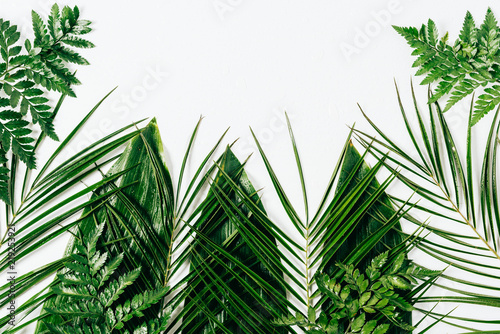 Fototapeta Naklejka Na Ścianę i Meble -  flat lay with assorted wet green foliage on white backdrop