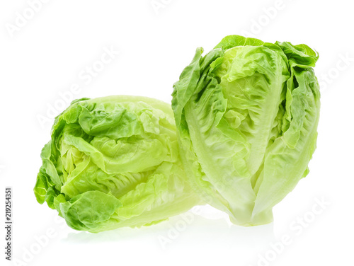 baby cos (lettuce) on white background