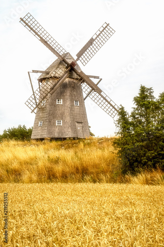 Old windmill in golfen field
