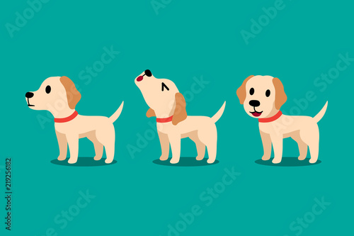 Set of vector cartoon character labrador dog poses for design.