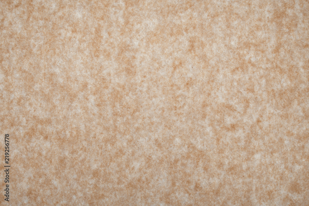Backlit Paper Background, Backdrop Backlit Paper Background, Backdrop