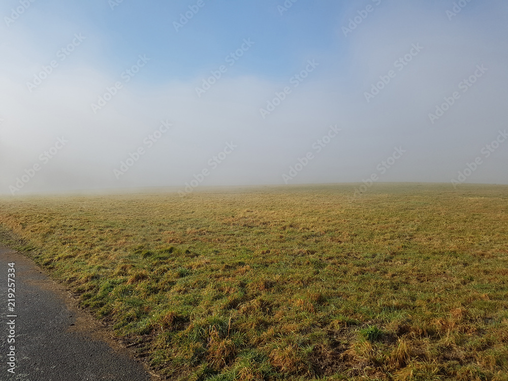 Nebellandschaft, Feld, Wiesen, Nebel Nebellandschaft, Feld, Wiesen, Nebel
