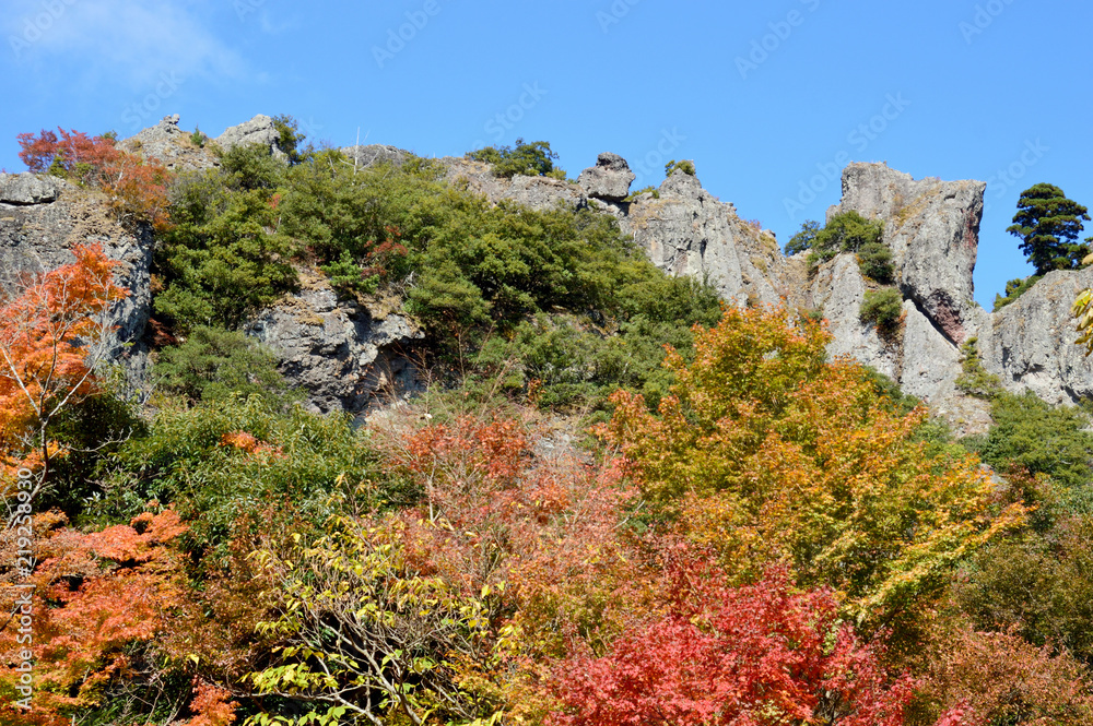 断崖の山肌を彩る紅葉