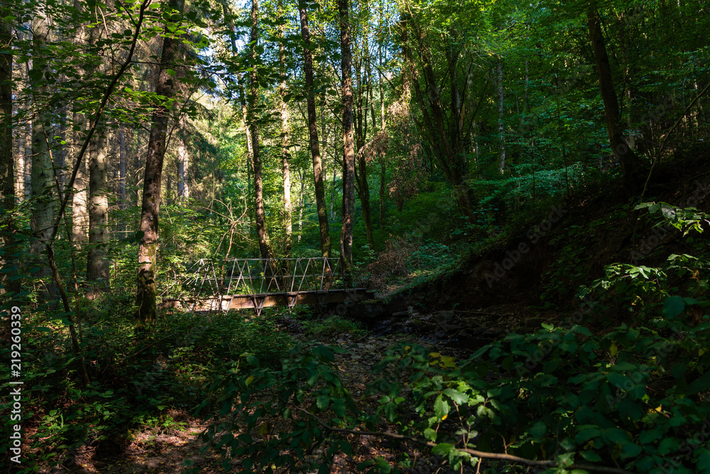 Une passerelle pour un petit petit ruisseau en forêt ardennaise, Hargnies, France Une passerelle pour un petit petit ruisseau en forêt ardennaise, Hargnies, France