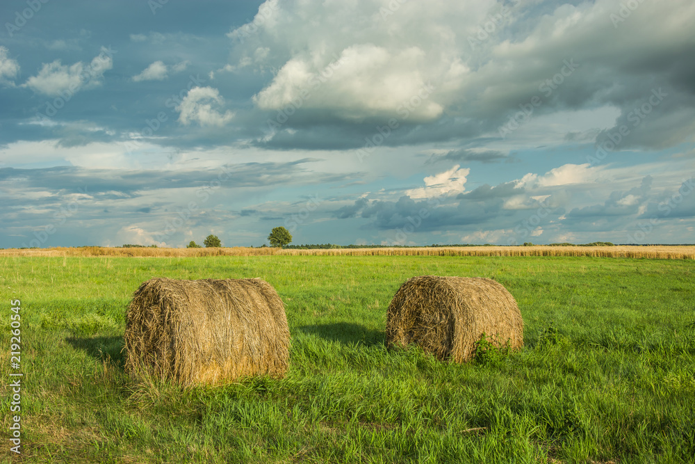 Two hay circles on a green meadow and cloudy sky