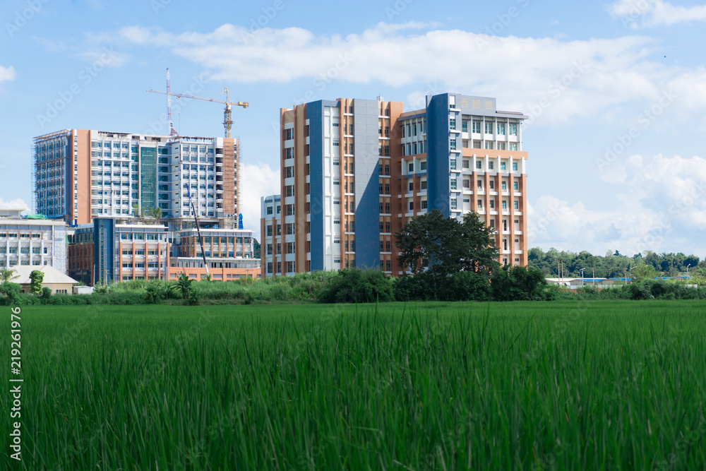 Obraz premium View of construction site building between rice field, hospital building.