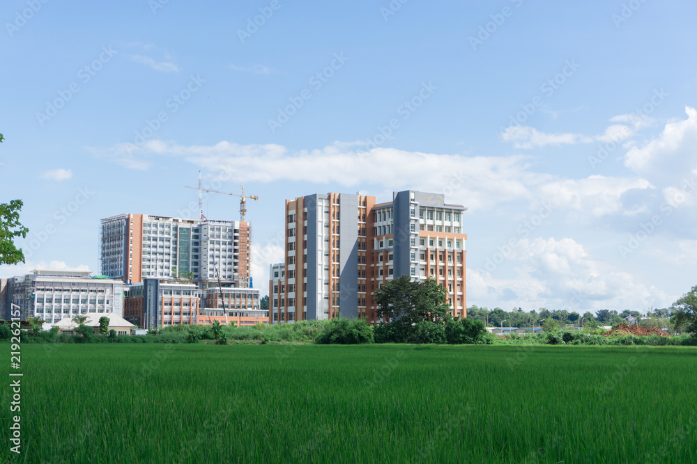 View of construction site building between rice field, hospital building. View of construction site building between rice field, hospital building.