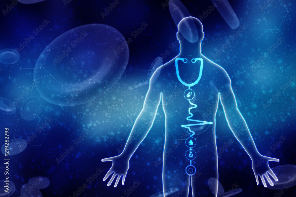 2d illustration Human Male Muscle Body 2d illustration Human Male Muscle Body
