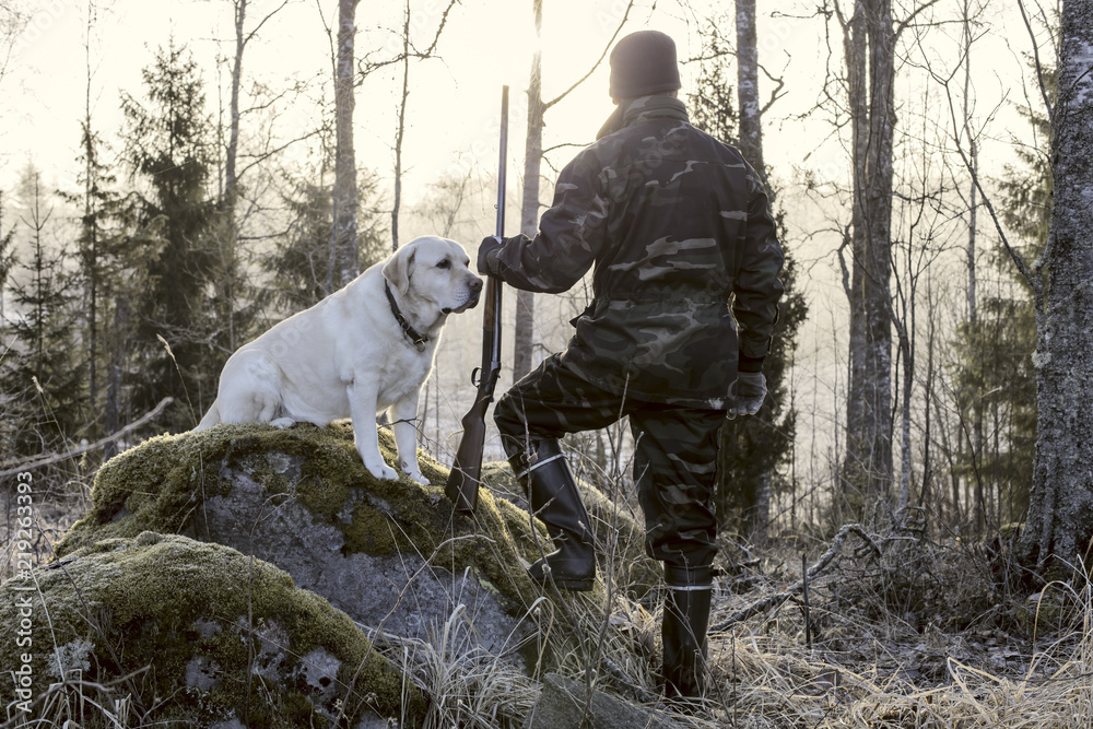 Hunter watching the sunrise in the morning in Finland. He has a shotgun in his hand and wearing a camouflage uniform. Yellow labrador retriever sitting on a rock.