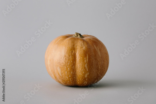 vivid ripe pumpkin photo