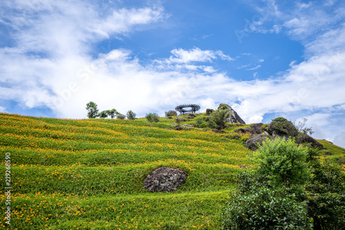 Photography The Orange daylily(Tawny daylily) flower farm at Sixty Rock Mountain(Liushidan