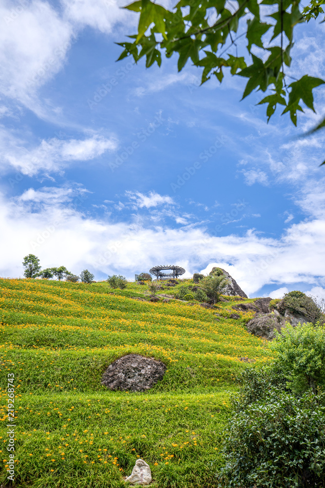 The Orange daylily(Tawny daylily) flower farm at Sixty Rock Mountain(Liushidan.mountain) with blue sky and cloud, Fuli, Hualien, Taiwan The Orange daylily(Tawny daylily) flower farm at Sixty Rock Mountain(Liushidan.mountain) with blue sky and cloud, Fuli, Hualien, Taiwan
