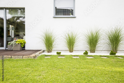 Garden with green grass and four bushes next to a house photo