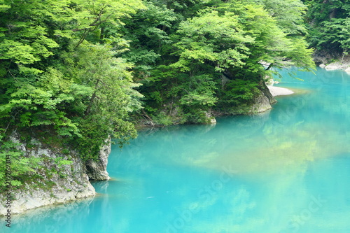 抱返渓谷の青い流れ。仙北 秋田 日本。７月中旬。