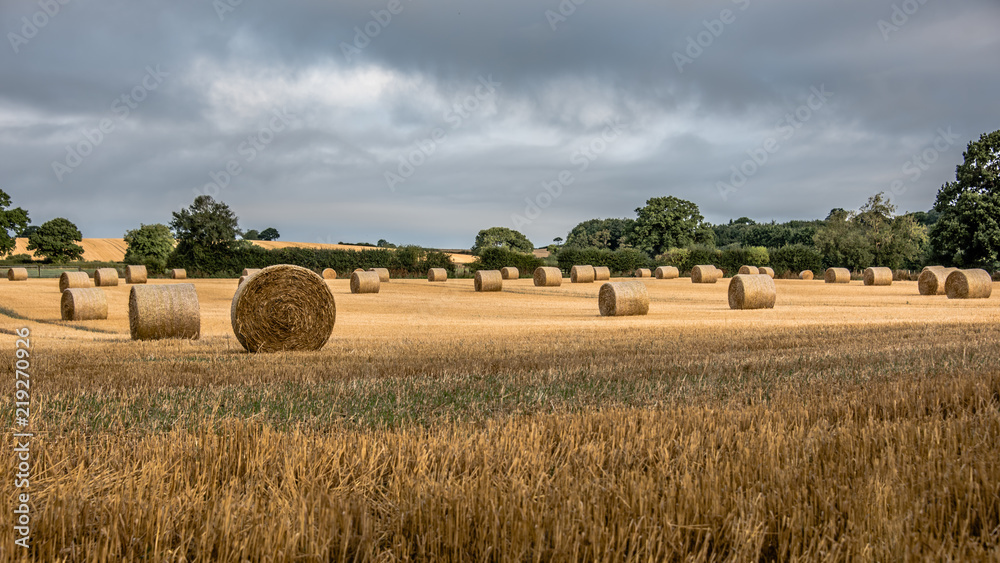 A landscape of a rural summer scene of farm land. The image shows large round bales of straw in a field. The sky is cloudy and dark with sunshine. 