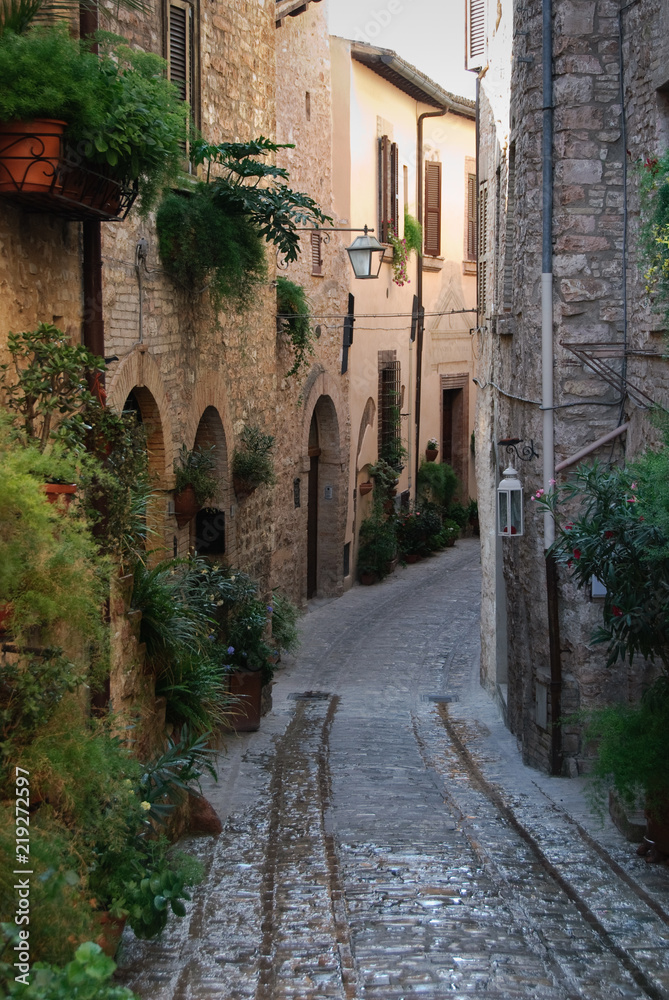 Plakat Rośliny podszyte wąską uliczką w pięknym Umbrii Spello we Włoszech