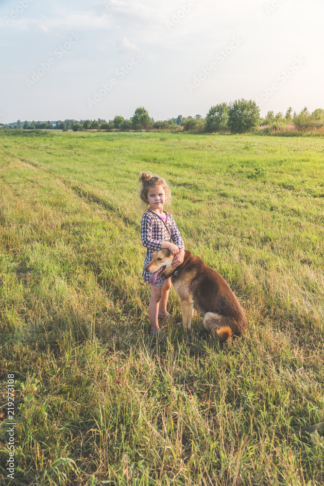 a girl, child summer Sunny day walking the dog on a leash, shepherd on a green grassy meadow