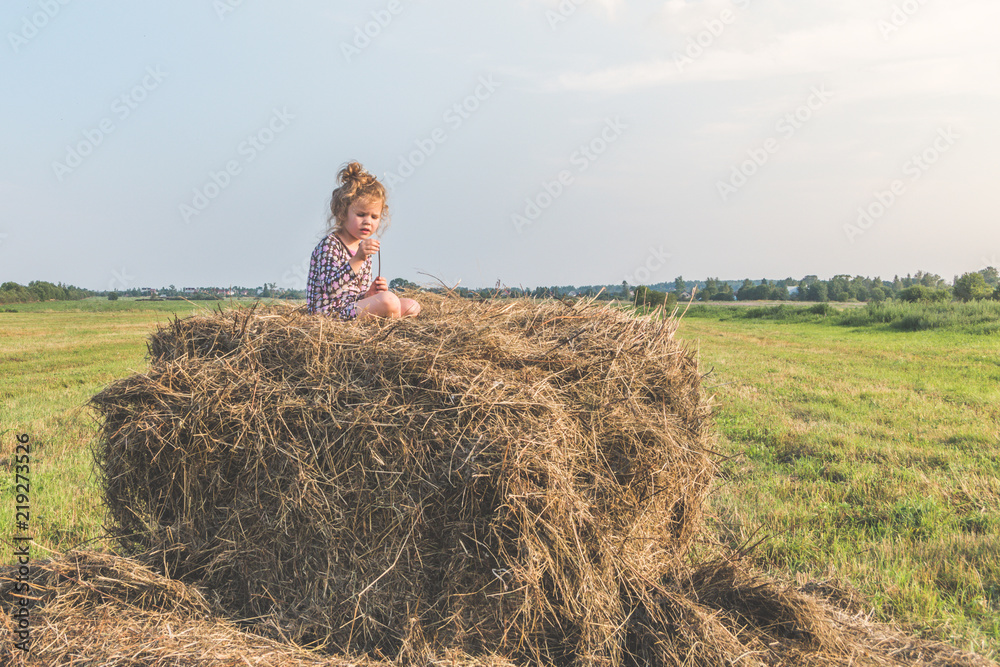 a girl in dress, baby on meadow sitting on hay in summer Sunny day a girl in dress, baby on meadow sitting on hay in summer Sunny day
