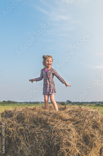 a girl in dress, baby on meadow sitting on hay in summer Sunny day
