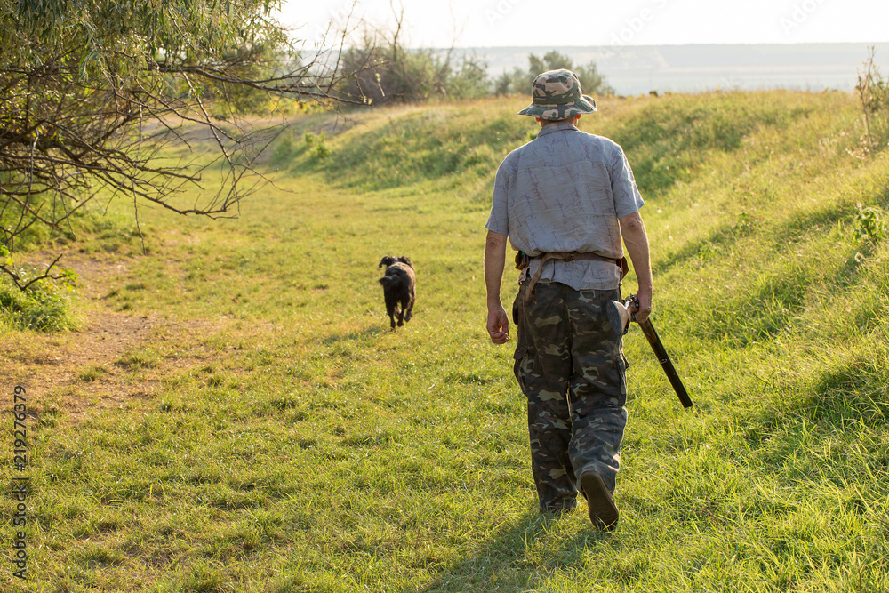 Hunter with a German trotter and spaniel, hunting a pheasant with dogs Hunter with a German trotter and spaniel, hunting a pheasant with dogs