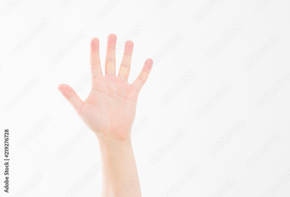 hand isolated on white.Voting hand. Mock up. Copy space. Template. Blank. hand isolated on white.Voting hand. Mock up. Copy space. Template. Blank.