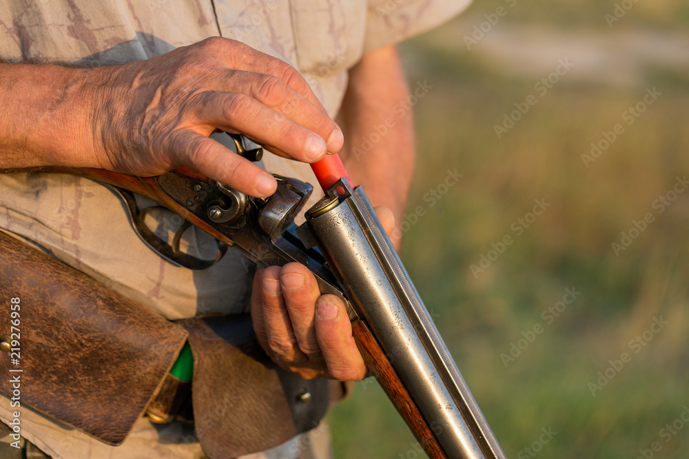 Obraz premium Charges a hunting smooth-bore rifle, hunting a pheasant with dogs