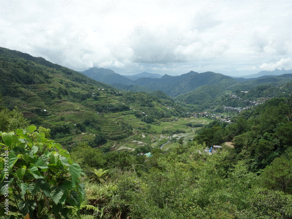 Rice Terrace in Banaue Rice Terrace in Banaue