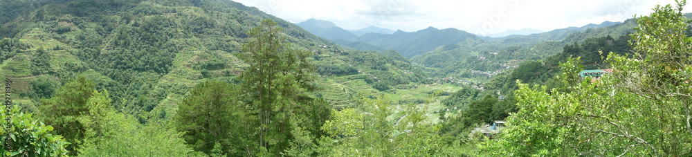 Naklejka premium Rice Terrace in Banaue