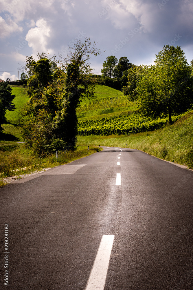 Naklejka premium A deserted, countryside road in the hills of the wine country in Steiermark, Austria.